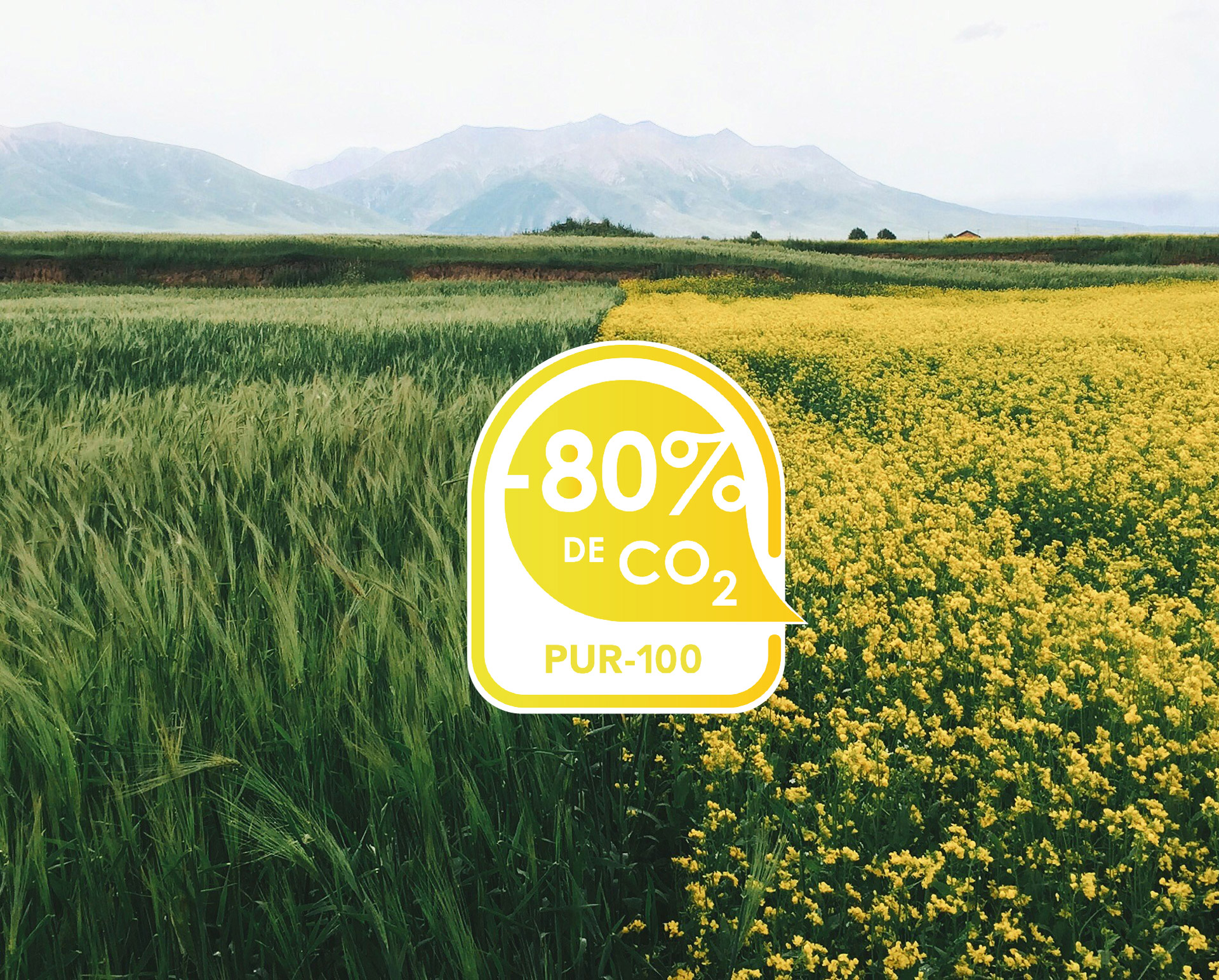 Altens - PUR 100 bas carbone